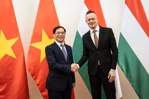 El ministro de Relaciones Exterior de Vietnam, Bui Thanh Son, y el ministro de Asuntos Exteriores y Comercio Exterior de Hungría, Peter Szijjarto.
