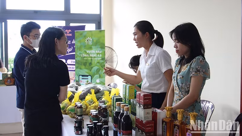 Buscan más capital de inversión para empresas emergentes en Vietnam