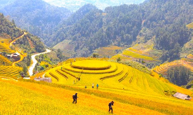 Las terrazas de arroz en Mu Cang Chai, provincia de Yen Bai (Fotografía: baoyenbai.com.vn)