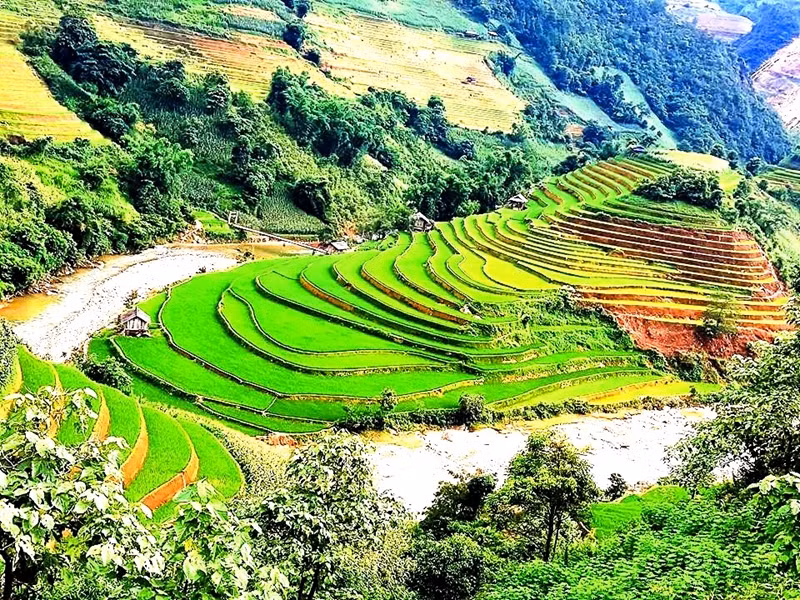 Junto a los frescos arroyos, el arroz crece día a día en terrazas. Junto a los frescos arroyos, el arroz crece día a día en terrazas.