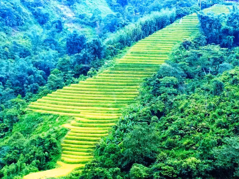 Los campos en la ladera de la montaña son como escaleras al cielo. Los campos en la ladera de la montaña son como escaleras al cielo.