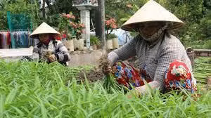 Foto de ilustración (Fuente: laodongxahoi.net)