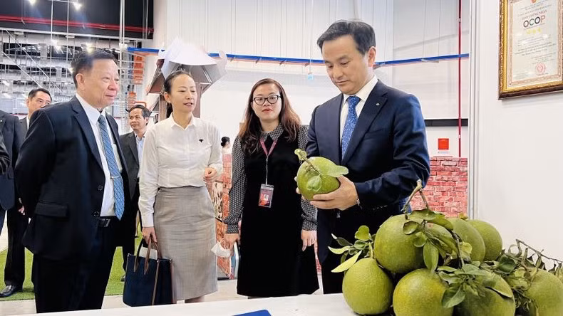 El gobernador de la prefectura de Yamaguchi, Muraoka Tsugumasa, y los ejecutivos de la corporación Becamex IDC visitan el stand de productos OCOP de la provincia de Binh Duong en noviembre de 2022.