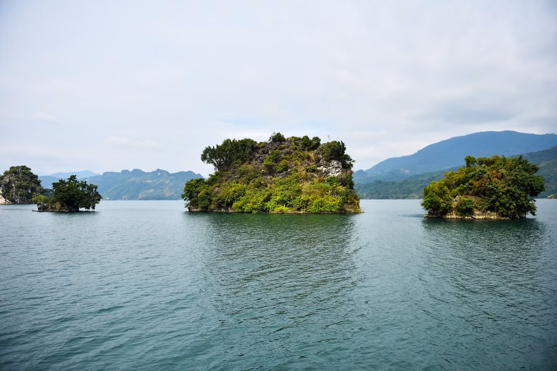 1612thacbo2.jpg