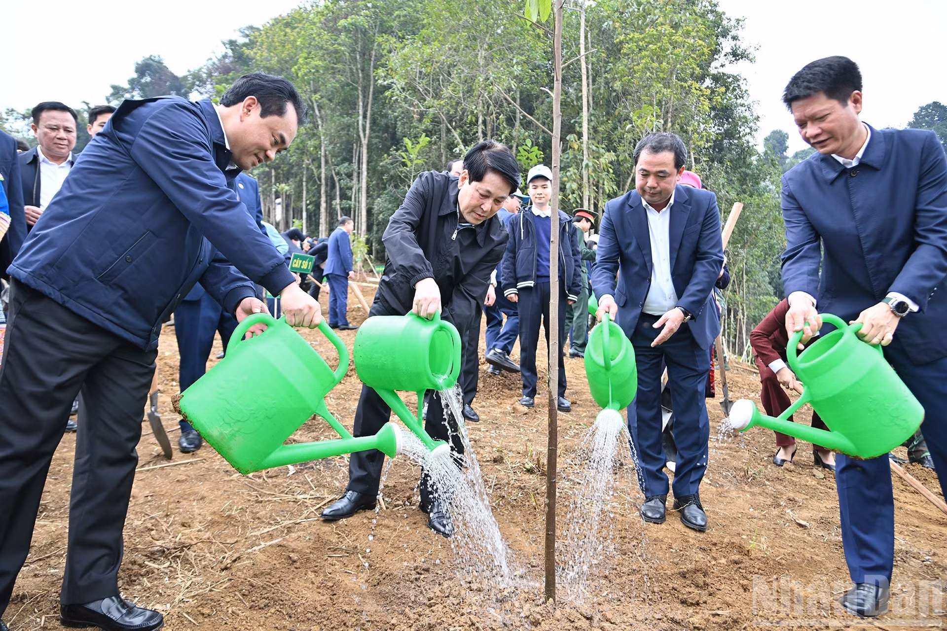 El presidente Luong Cuong y delegados a la actividad plantan arbolitos.