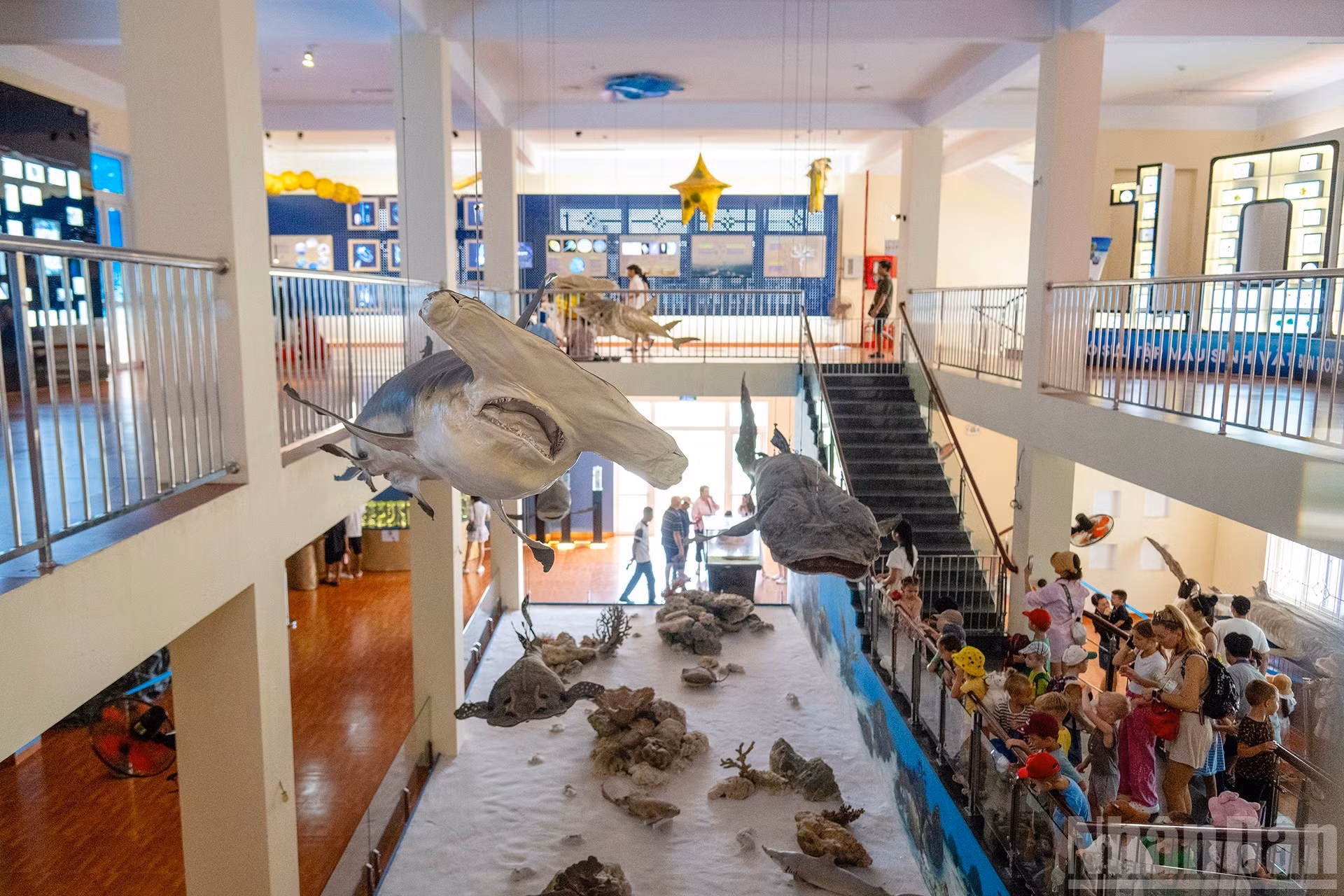 El museo cuenta con galerías modernas, animadas e interactivas.