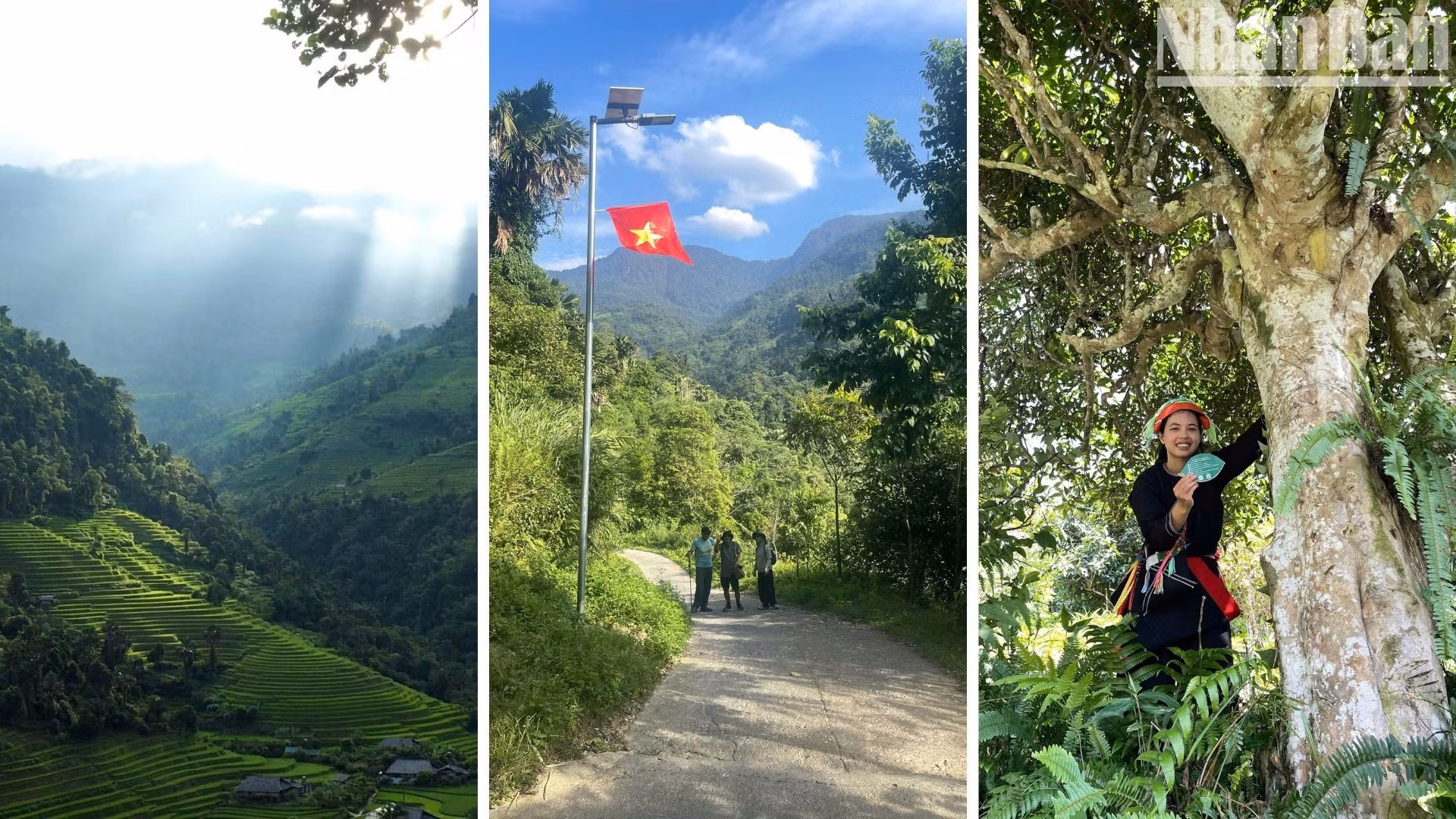 Desde unos árboles arraigados en las laderas de monte hasta una taza de té al lado de la hoguera, la historia de Lung Tao no solo gira en torno a un producto agrícola. Ilustra cómo los jóvenes del grupo Dao Ai Dai renuevan sus medios de vida heredando un patrimonio y tesoro botánico del terruño.