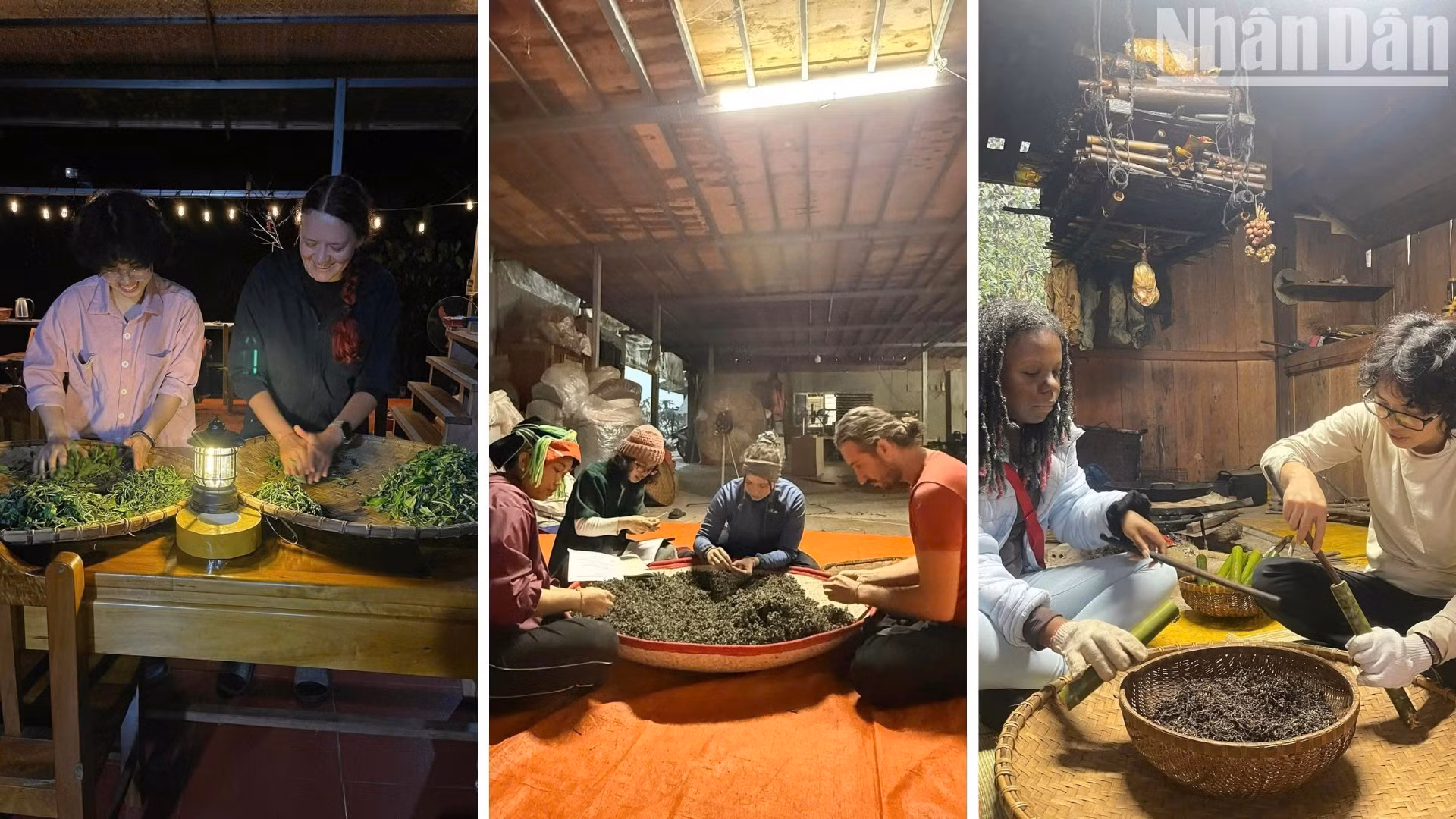 Según Chang Thi Bich, durante la temporada de producción de té, numerosos turistas foráneos se quedan en Lung Tao para conocer todas las etapas de procesamiento aplicando los métodos tradicionales de la etnia Dao. (Foto cortesía de la entrevistada)