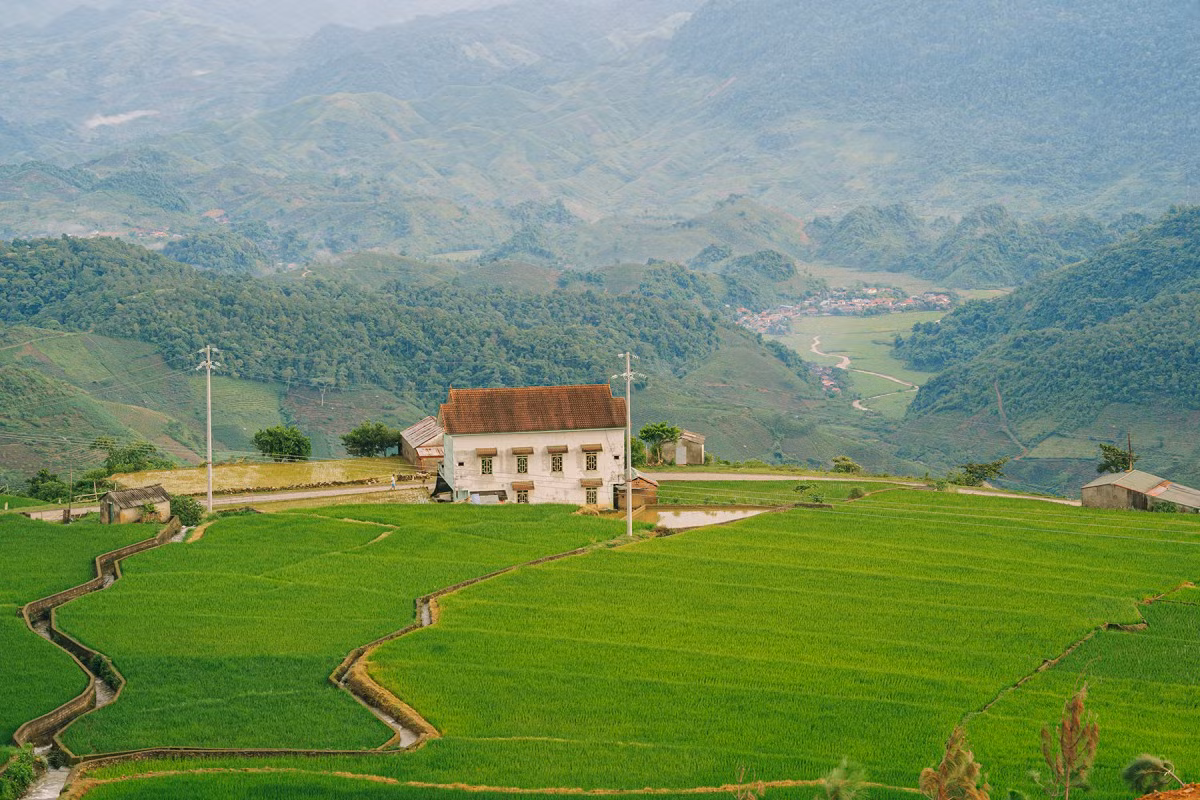 Actualmente en Suoi Bon no están disponibles servicios de comida ni alojamiento. Los visitantes deben hospedarse en Moc Chau y dedicar un día a este destino. También se pueden bañar en cascadas del entorno, explorar la naturaleza salvaje de la comuna de Van Ho y visitar las colinas de té y las aguas termales de Chieng Yen.