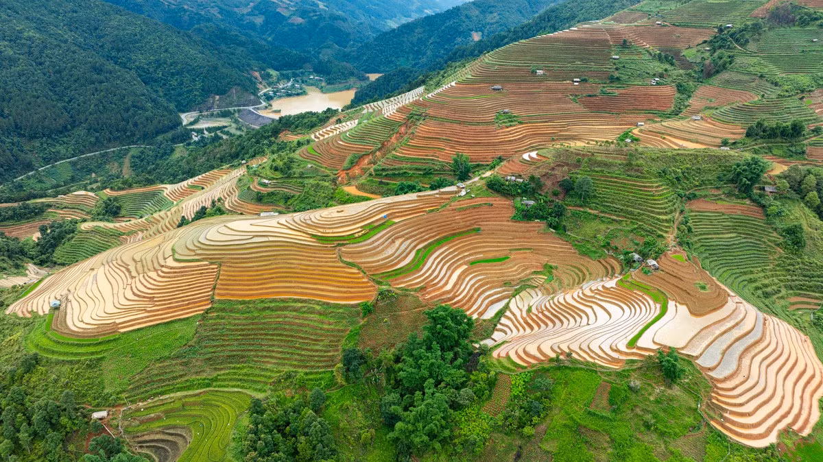 El singular escenario agrícola en la comuna de Lao Chai, unos 10-12 kilómetros al oeste de Mu Cang Chai.