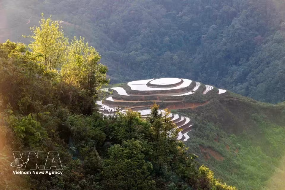 Las terrazas de arroz durante la temporada de inundación en Lang Sang lucen tan bellas como una pintura.
