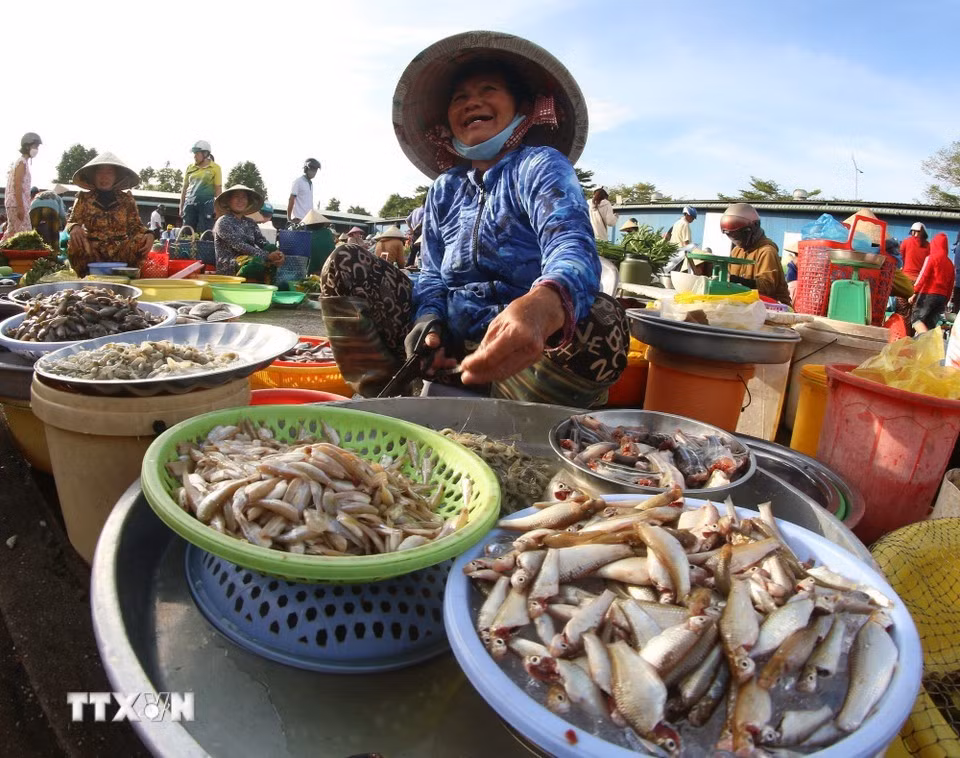 El mercado “chom hom” del barrio de Vi Thanh, en la ciudad de Can Tho, es tan afable como la vida cotidiana de sus propios habitantes, pues preserva un fragmento del alma rural en el corazón de una ciudad que se transforma día a día.