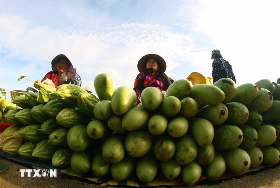 La venta de productos agrícolas en estos puestos tradicionales abre nuevas vías para acercarlos a los consumidores y permite a los habitantes aprovechar los recursos disponibles en sus propios huertos.