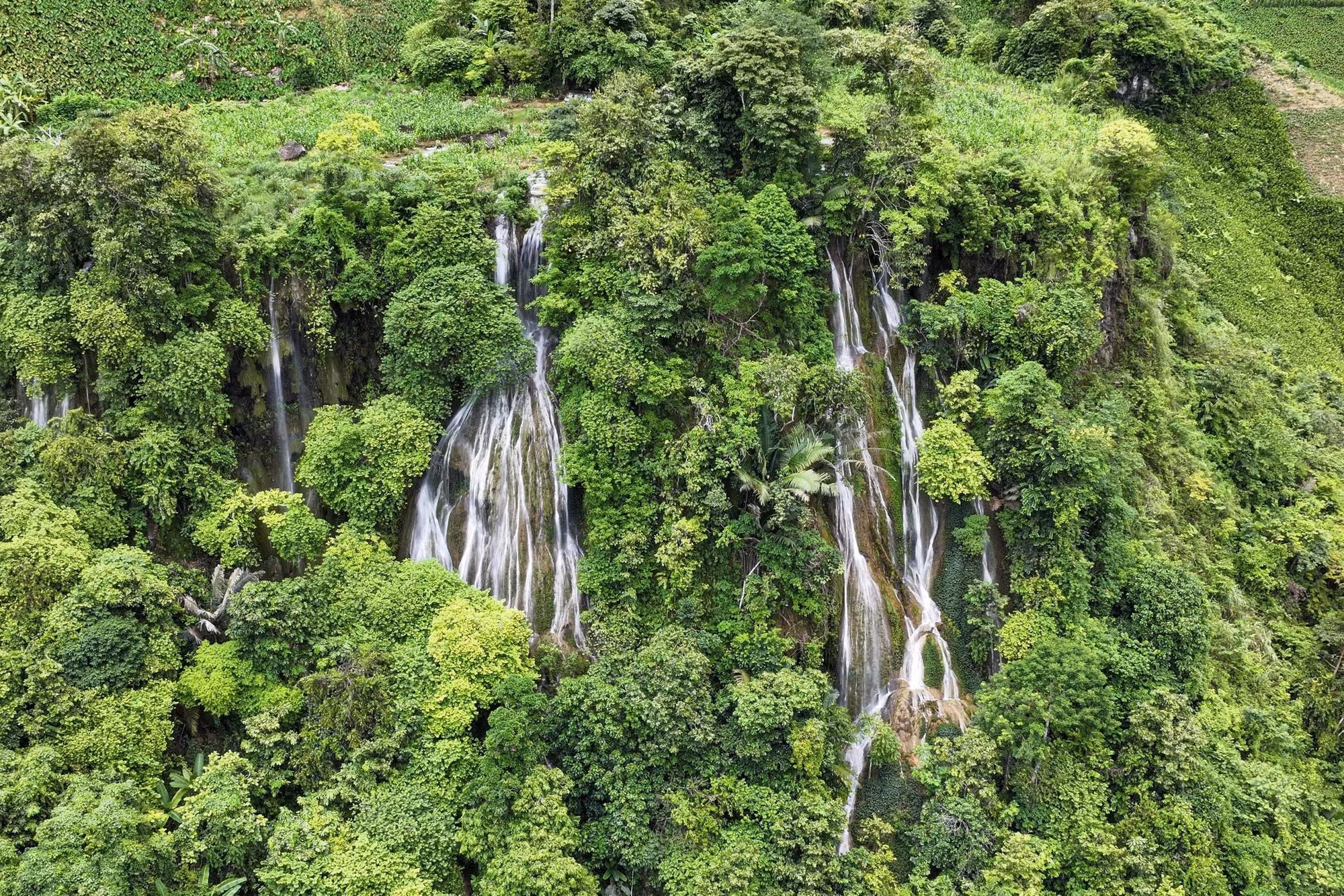 La cascada a vista de pájaro. El agua cristalina baña rocas masivas y acantilados musgosos, creando un paisaje lleno de vitalidad.