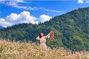 Los vibrantes colores de las flores de trigo sarraceno añaden encanto al paisaje para los turistas. (Foto: VNA)