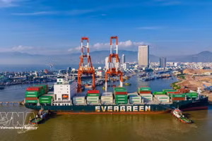 Un buque portacontenedores descarga mercancías en el puerto de Quy Nhon. (Foto: VNA)