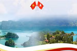 Vietnam y Suiza por impulsar cooperación