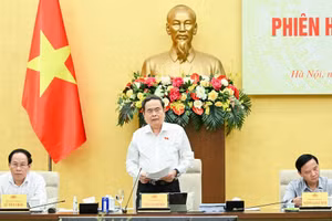 El presidente de la Asamblea Nacional de Vietnam, Tran Thanh Man, habla en la reunión. (Foto: Nhan Dan)