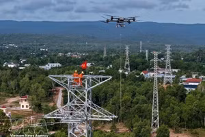 Proyectos de infraestructura eléctrica en la Zona Especial de Phu Quoc, provincia de An Giang. (Foto: VNA)