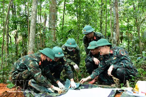 Oficiales y personal del equipo para la recuperación de restos de mártires KT QT 337 trabajan en la zona de la colina Khe Cay Loi, en la aldea de Cup Cuoi, comuna de Huong Lap, provincia de Quang Tri. (Foto: VNA)