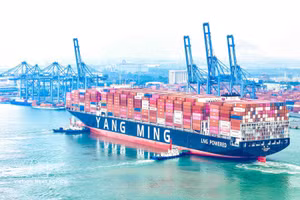 El buque portacontenedores YM WAYFINDER, operado por la naviera Yang Ming, atraca en la Terminal Internacional de Tan Cang-Cai Mep (Foto: VNA)