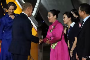 La vicepresidenta del Comité Popular de ciudad vietnamita de Da Nang, Nguyen Thi Anh Thi, recibe al primer ministro polaco, Donald Tusk, en el aeropuerto internacional de Da Nang. (Foto: VNA)