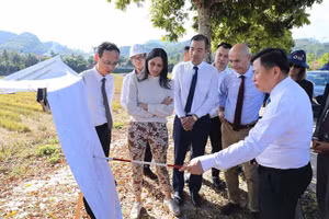 Dinh Cong Su, vicepresidente del Comité Popular de la provincia de Phu Tho, presenta el proyecto de desarrollo urbano resiliente al cambio climático en la zona urbana de Hoa Binh. (Foto: VNA)