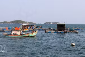 Zona del puerto pesquero de An Thoi. (Foto: VNA)