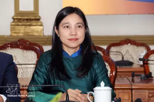 Ha Thanh, presidenta de la Unión de Organizaciones de Amistad de Ciudad Ho Chi Minh. (Foto: VNA)