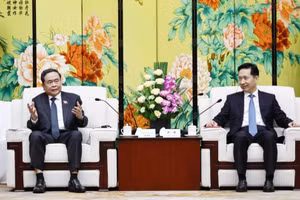 El presidente de la Asamblea Nacional de Vietnam, Tran Thanh Man, recibe a Zhao Yide, secretario del Comité del Partido de la provincia de Shaanxi y presidente del Comité Permanente de la Asamblea Popular de esa provincia china. (Foto: DOAN TAN/VNA)