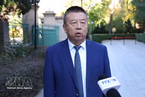 He Zhenwei, presidente de la Asociación China para el Desarrollo de la Industria en el Extranjero, en la entrevista. (Foto: VNA)