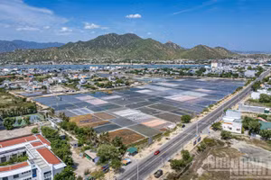 [Foto] Ajetreado ritmo de vida en las salinas del sur de Khanh Hoa