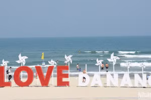 Da Nang protege la biodiversidad y apuesta por el turismo ecológico. (Foto: Nhan Dan)