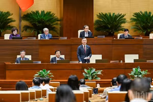 El ministro de Finanzas, Ngo Van Tuan, esclarece dudas de los diputados.