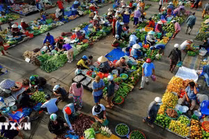Mercado “chom hom” refleja la vida rural del delta del Mekong