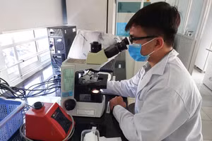 Actividad de investigación científica. (Foto: VNA)