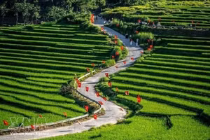 El sitio de ecoturismo comunitario de Pu Luong, en la provincia de Thanh Hoa, atrae a visitantes. (Foto: VNA)
