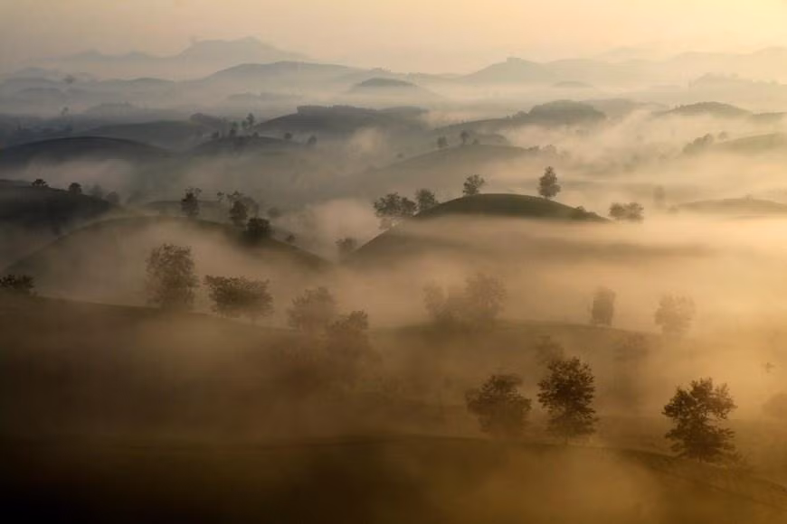 La encantadora belleza de las colinas de té Long Coc, en la comuna de Long Coc, distrito de Tan Son, provincia de Phu Tho. (Fotografía: VNA)