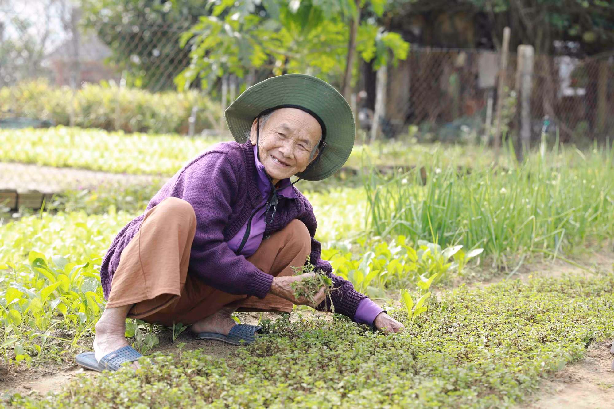 Según los ancianos de la aldea, a principios del siglo XVIII un emperador de la dinastía feudal Nguyen (1802-1945), impresionado por el sabor y el aroma de las verduras cultivadas por los aldeanos, bautizó el lugar como Trà Quế ("trà" significa "té" y "quế", canela). Este topónimo permanece hasta hoy.