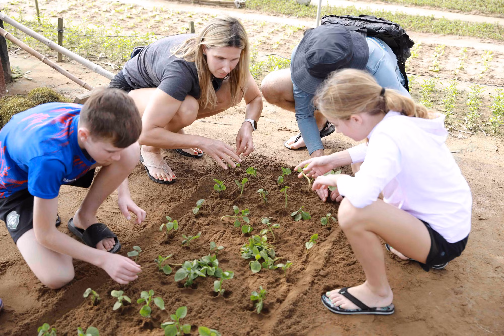 Los visitantes participan en el cultivo, el riego, la fertilización y el cuidado de las hortalizas bajo la guía de los agricultores, y también descubren los valores culturales e históricos únicos del lugar.