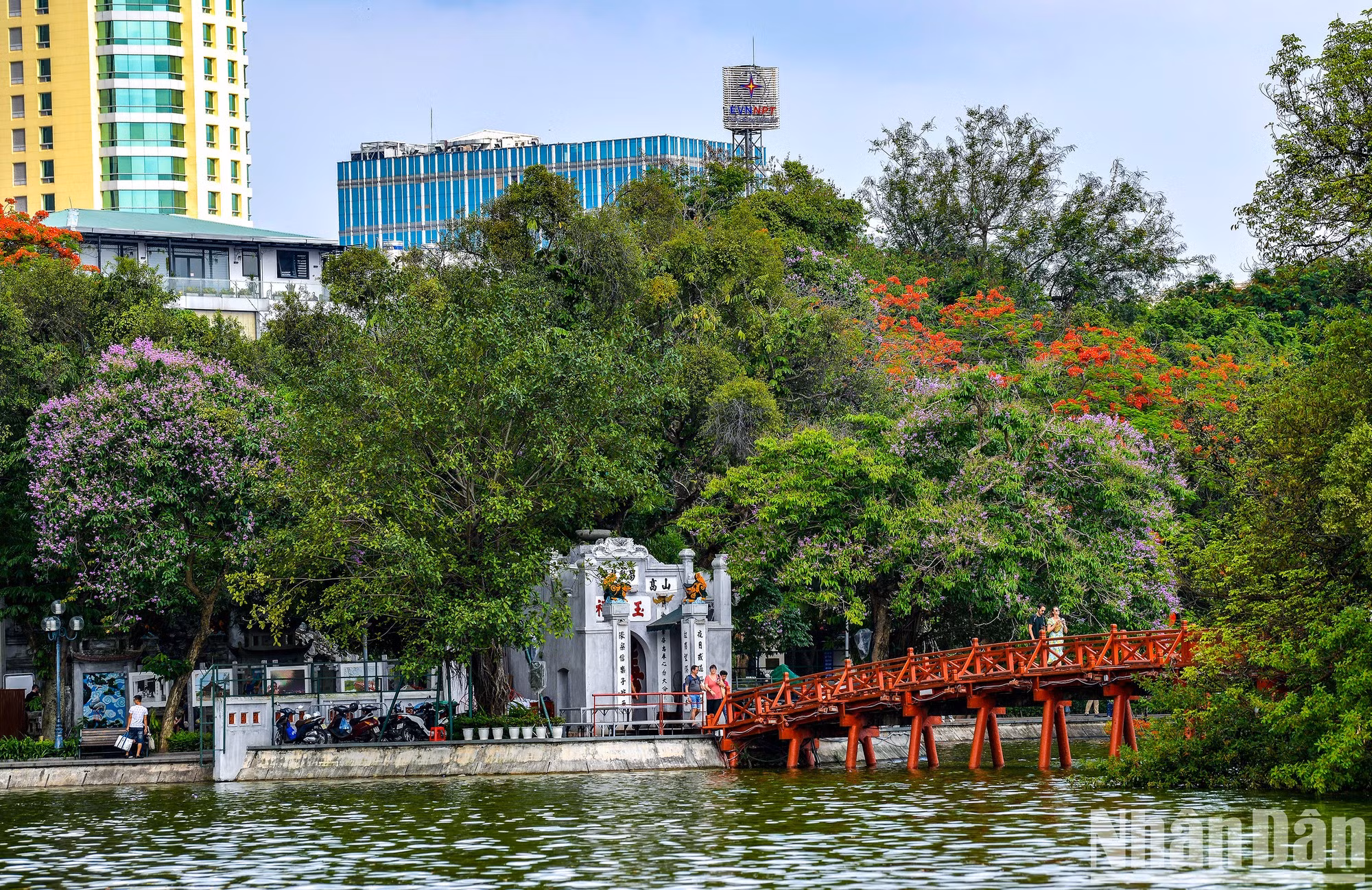 Las flores de bang lang y flamboyán brotan brillantemente junto al puente The Huc.