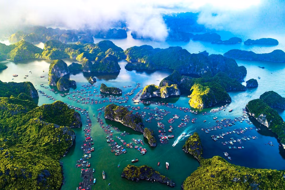 El archipiélago de Cat Ba fue reconocido por la Unesco como Reserva Mundial de la Biosfera (2004) y por el primer ministro como Reliquia Nacional Especial (2013).