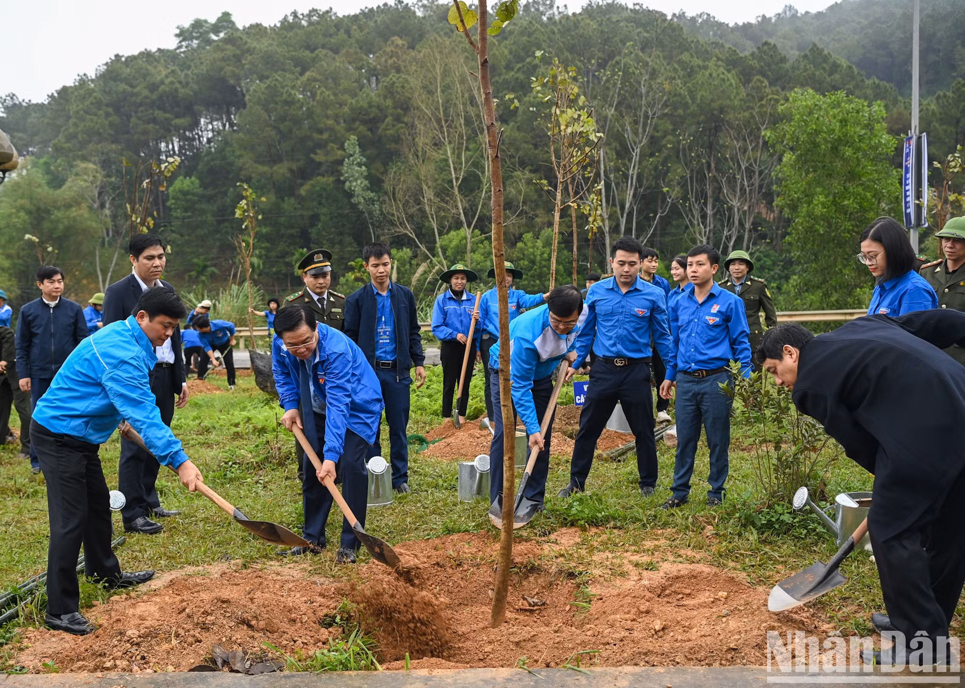 Dinh Hue y otros delegados plantan árboles en respuesta al Festival de siembra de árboles de primavera 2024.