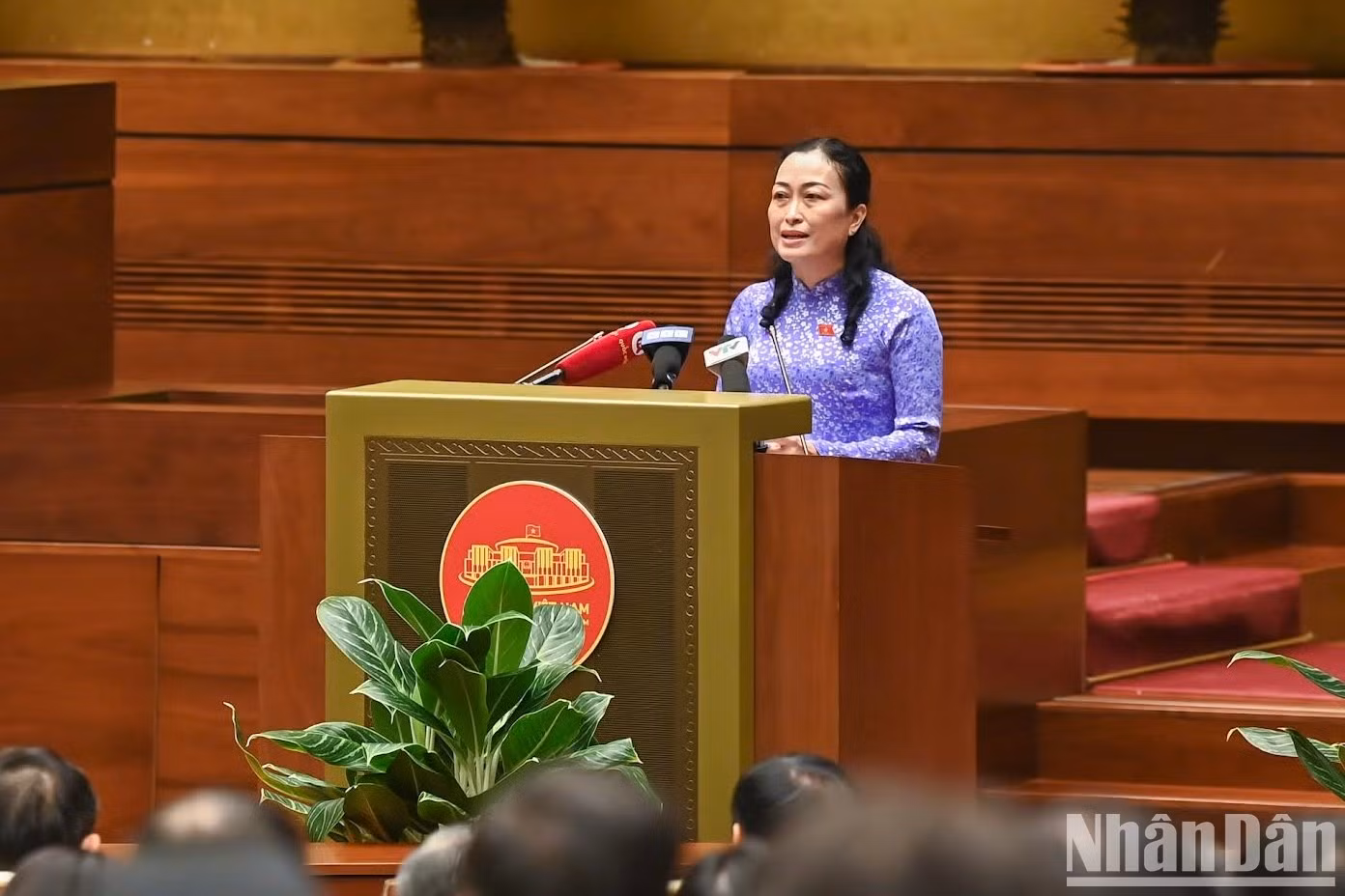 Tran Thi Hoa Ry, vicepresidenta del Consejo de Asuntos Étnicos de la Asamblea Nacional, habla en el evento.