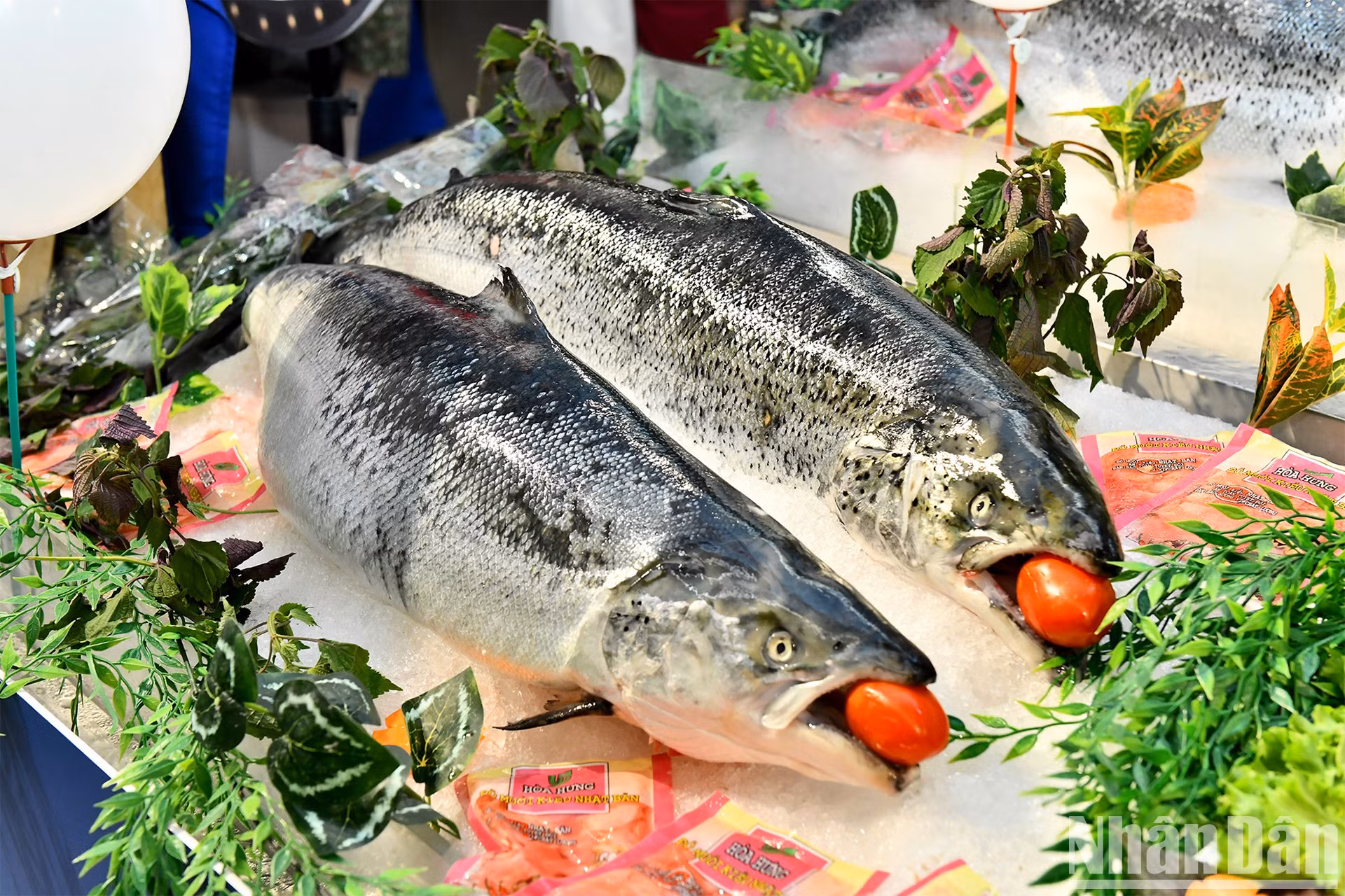 Para ofrecer un delicioso salmón fresco, Noruega adopta un enfoque holístico de la pesca y la acuicultura basado en el ecosistema, junto con una estricta normativa para proteger todas las especies en aguas noruegas. Para ofrecer un delicioso salmón fresco, Noruega adopta un enfoque holístico de la pesca y la acuicultura basado en el ecosistema, junto con una estricta normativa para proteger todas las especies en aguas noruegas.