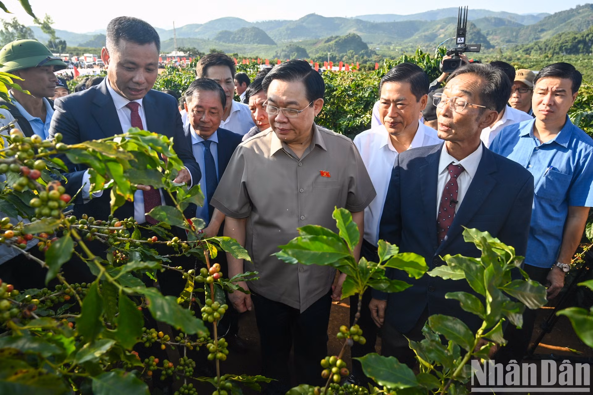 Titular del Legislativo visita la zona de cultivo de café en el poblado Hoang Van Thu. Titular del Legislativo visita la zona de cultivo de café en el poblado Hoang Van Thu.