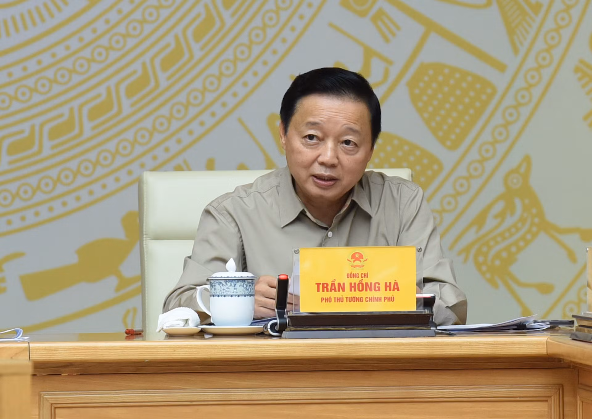 El viceprimer ministro Tran Hong Ha interviene.