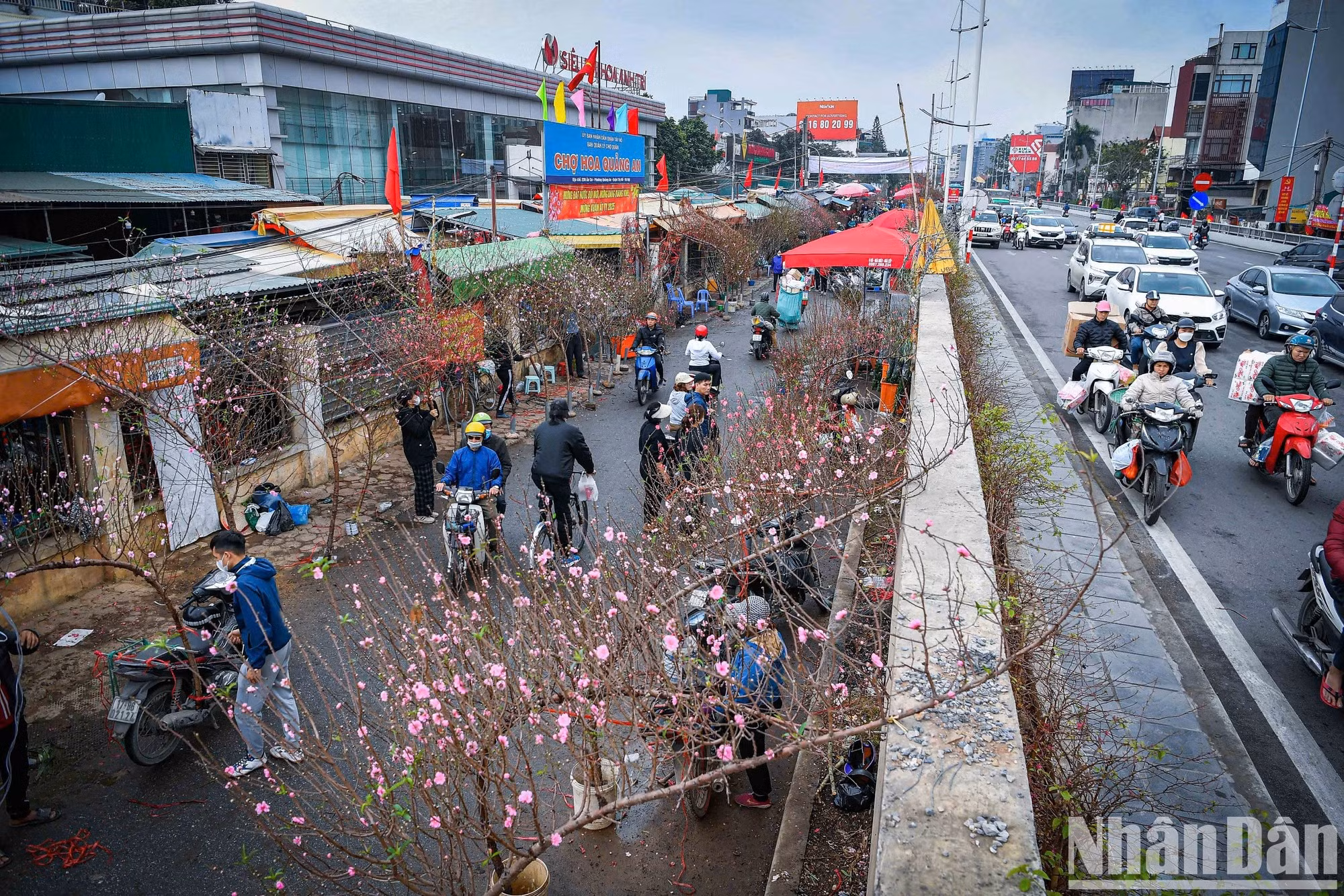 Mucha gente viene al mercado de flores de Quang Ba, en el distrito de Tay Ho.