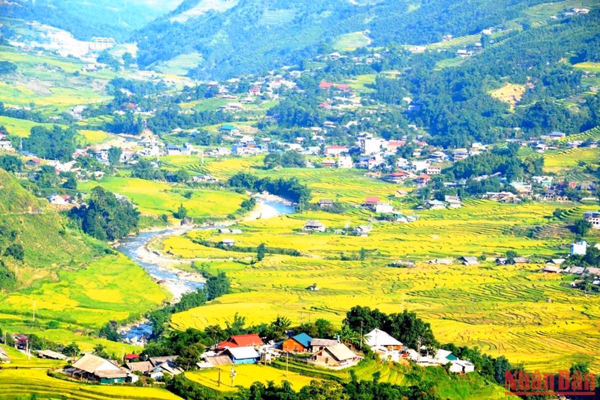 En su esplendor la belleza de las terrazas de arroz de Sapa 