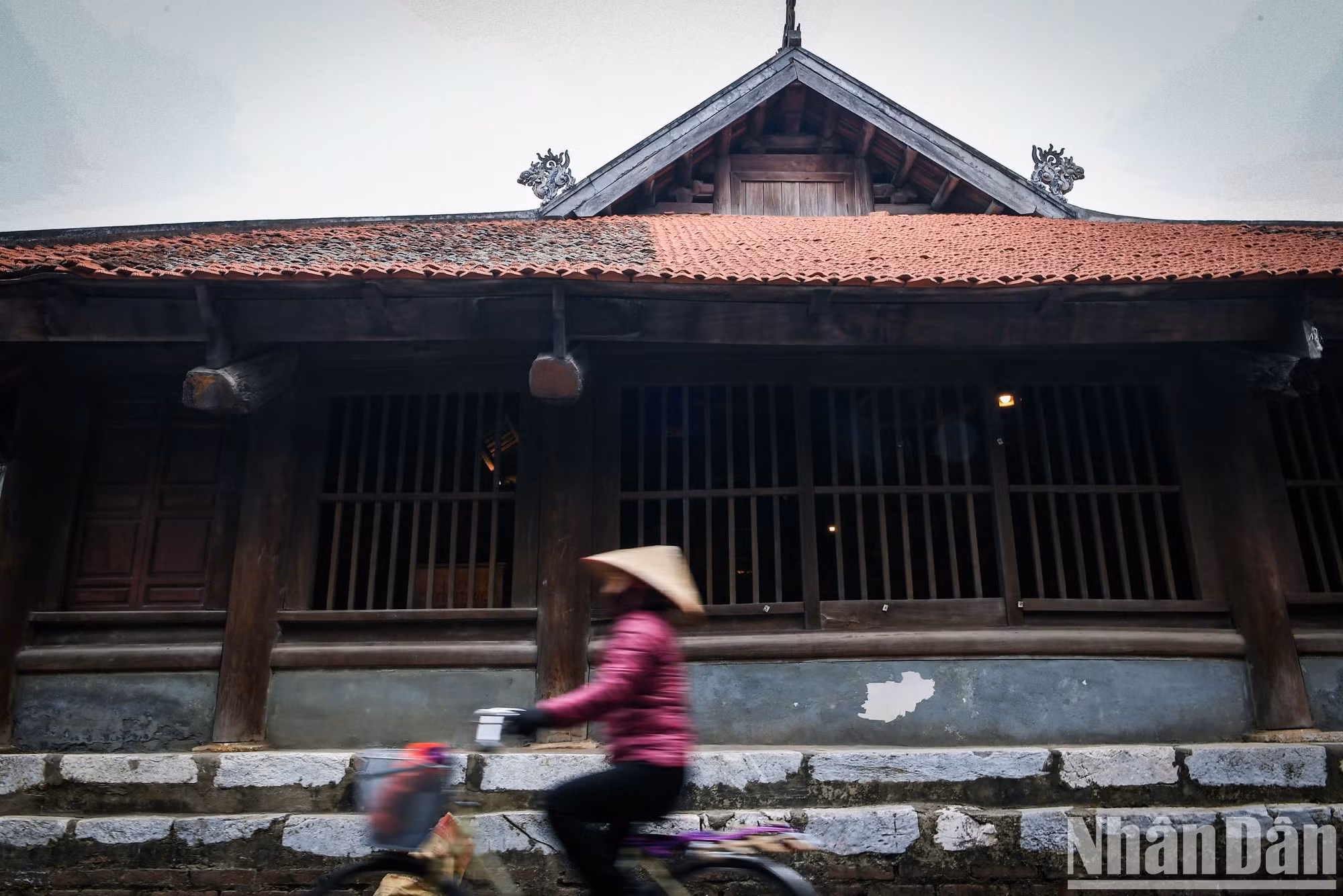 Según el Comité Popular de Dan Phuong, el distrito celebrará el 15 de febrero una ceremonia en la que la casa comunal de Dai Phung recibirá el título de Reliquia Nacional Especial.